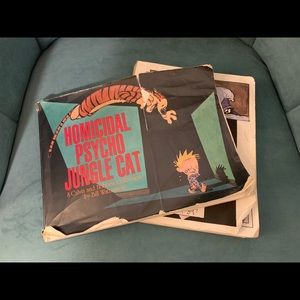 Calvin and Hobbes Comics